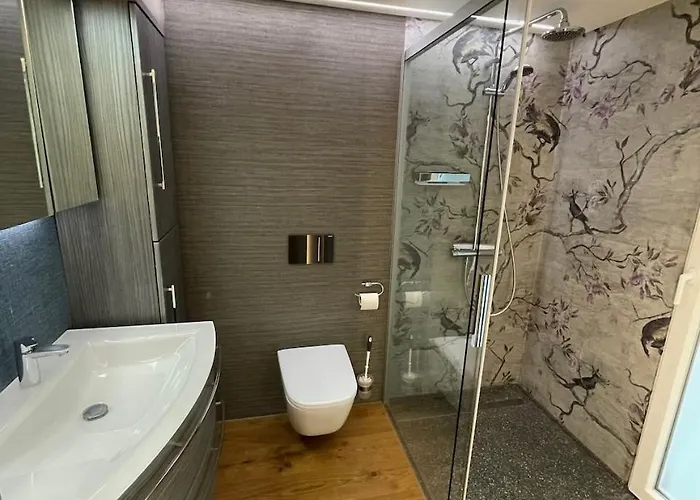 Schoene In Apartment Feldkirch